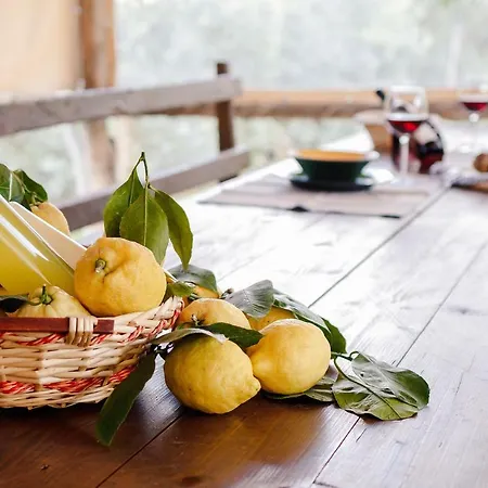La Casa Di Nonna Elvira Eros * Massa Lubrense