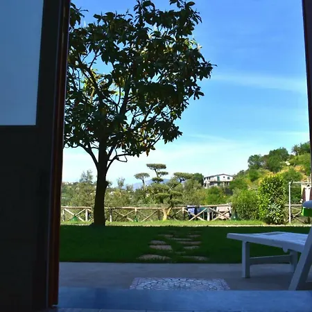 La Casa Di Nonna Elvira Eros